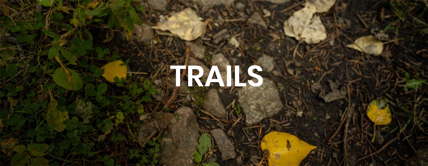 Beartooth Recreational Trails Association