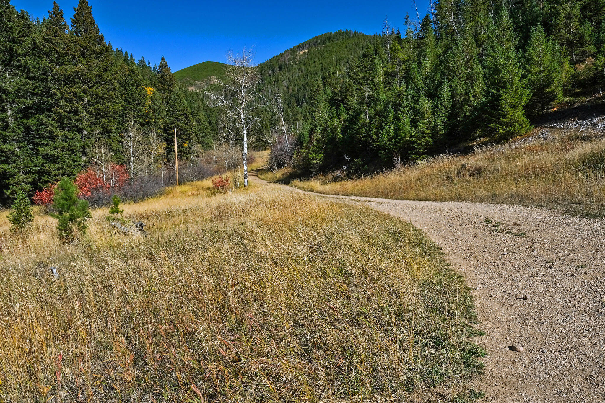 Hike Wild Montana Trail Guide