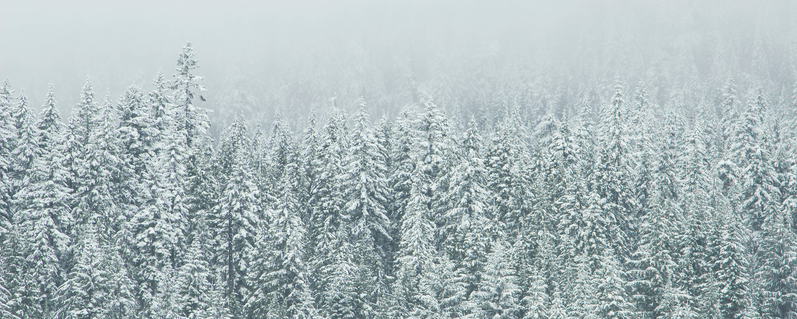 Embracing Winter in Montana